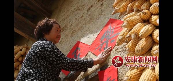 �h�΢�Ӱ���P��֮�١��װl �v�������¸�����