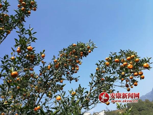 �{����С mmexport1509844149357.jpg