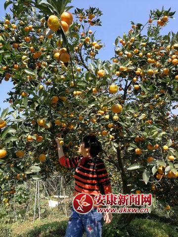 �{����С mmexport1509844152583.jpg