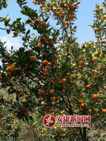 �{����С mmexport1509844146036.jpg