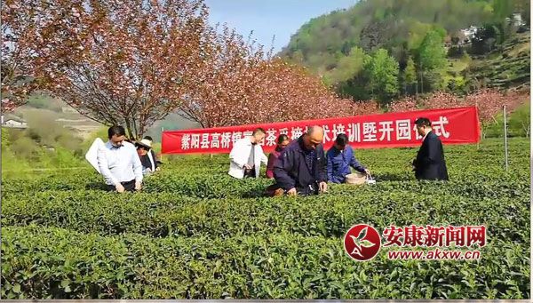 ��ꖸߘ��(zh��n)�����_������