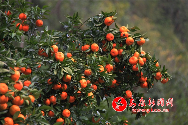 ���޴���ӣ����ǳ��S�پG�r