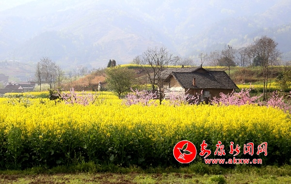 �����l�������ڴ�����