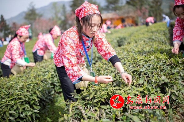 ���(y��ng)23�f(w��n)��������@ʢ���_(k��i)�@