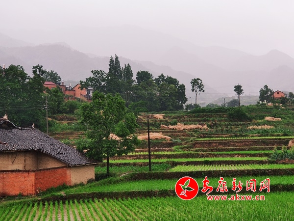 �l(xi��ng)���꾰