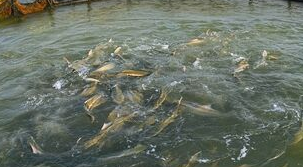 ���B�~��ӛ��Ѧ����