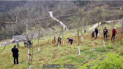 �h�I���@�^����������