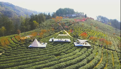 ��ꖸ����衰�ơ����_�@