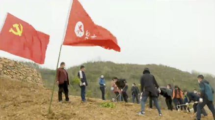 �h���S�Lչ  �¾Gӭ����