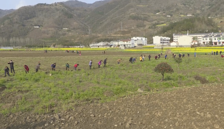 ƽ�����ӣ�����조�[������