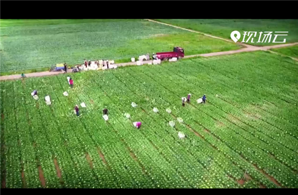 ȫ����Óؚ���ԡ�����o�Ƭչ�������Q��Óؚ�ڽ񳯡���һ�� ����Ӳ���^������