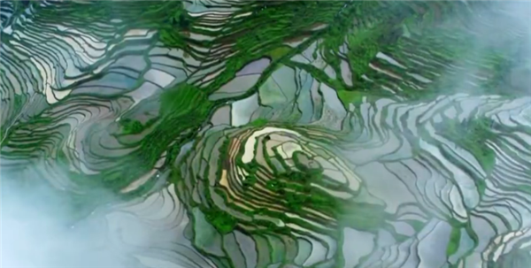 ȫ����Óؚ���ԡ�����o�Ƭչ�����o�Ƭ�����Ӣ����Ϧ�������弯����������