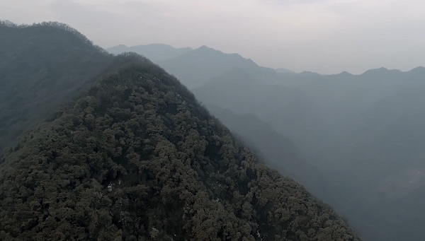 ���Č����(hu��)���x���ăr(ji��)ֵ�^���}΢�Ӱ��(y��u)����Ʒչ��������b����Ը��