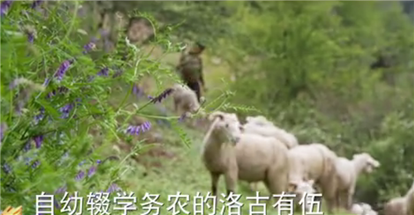 ȫ��(gu��)��Óؚ����(ji��n)����(y��u)��o(j��)�Ƭչ�����o(j��)�Ƭ������(ji��n)��ӛ�������������ĽY(ji��)5