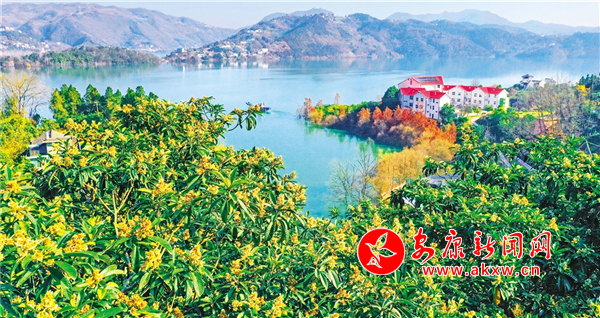 孺��f��������ӭ��ʢ����