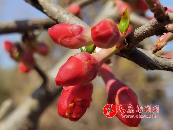 �����hꎿh���������_(k��i) ����u��