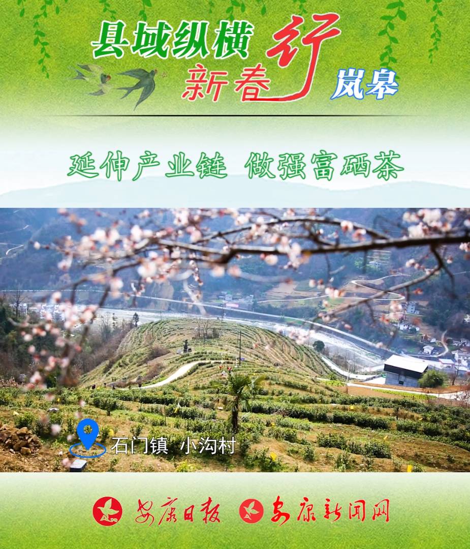 ����a�I� ����������