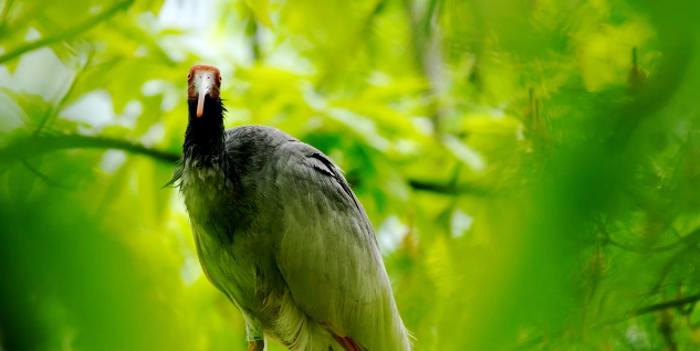 �؎X ���q֮�s