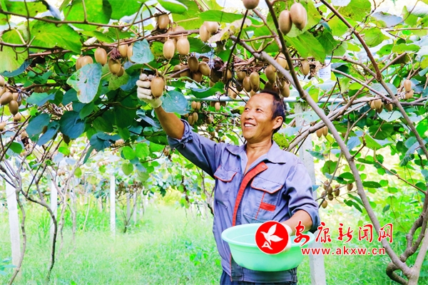 �𡰫J�����u���^����悫J����ϲ�@�S��