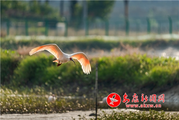 50��ֻ���q���򿨡��h��p��ǧ���������^