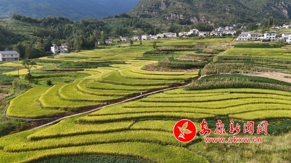 ˮ���S�՚w�}æ