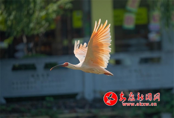 �hꎣ�����r��(ji��)���q��