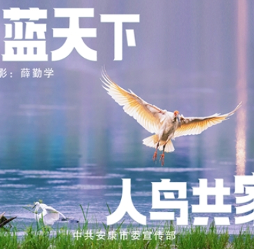 ͬ���{���� ���B���҈@