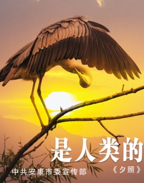 ���B�o�B ���������