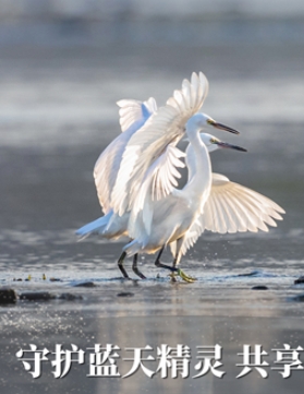 ���o�{�쾫�` �������C�҈@