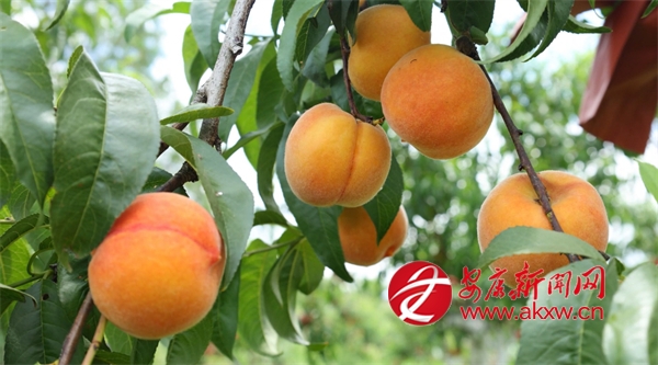 ʢ�Ĺ��� ����ҷ�