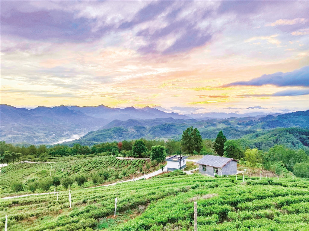 �f(w��n)����@Ԓ�S��