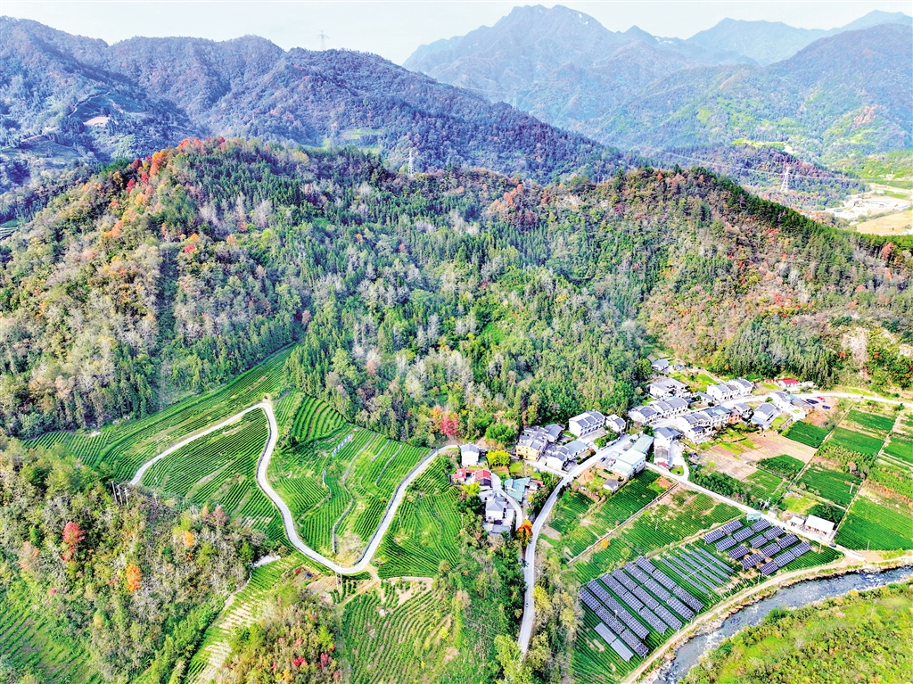 ƽ���h�V���(zh��n)��@