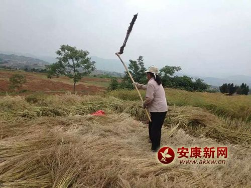 �ڄ�(d��ng)��s