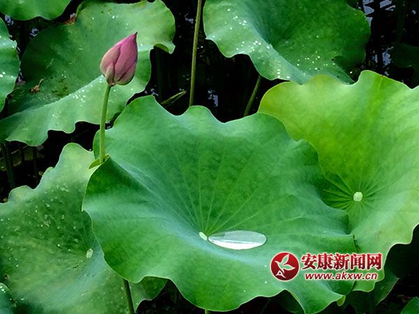 ��y�_����ƽ�����Íu�ɻ��ؾ�