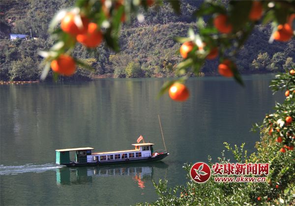 �����������һ��