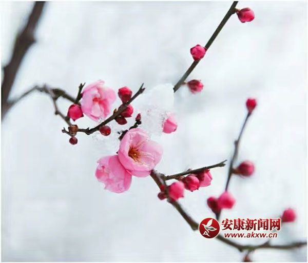 ���L�L�w�����죬�l��һ���փɰ룿