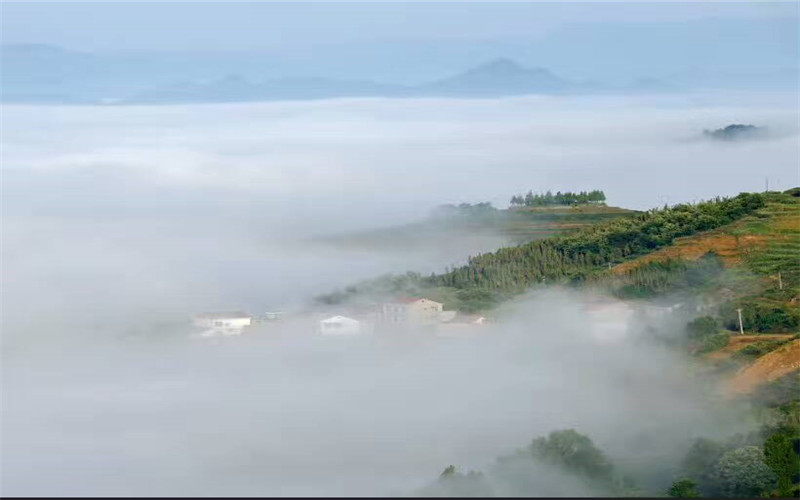 �����P��