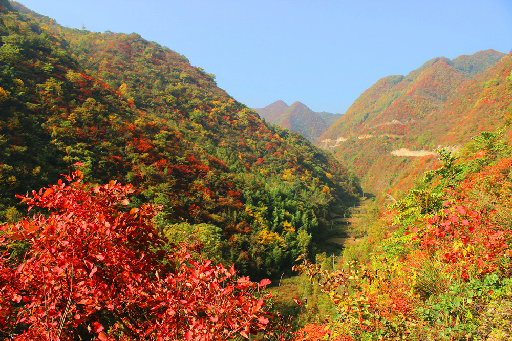 ����׌üt�~�����ˣ�